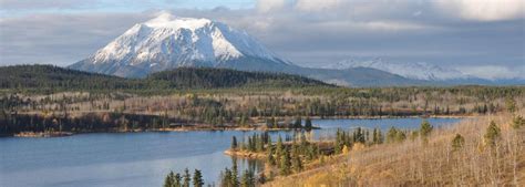 Yukon Climate Change | WCS Canada