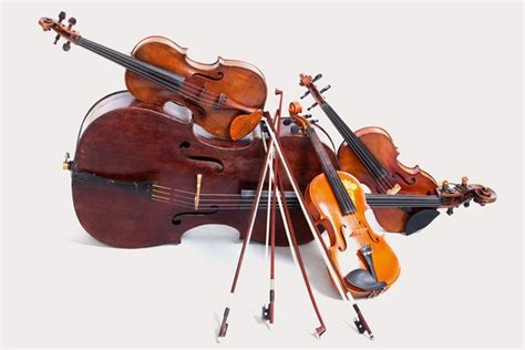 Online Shop für Zupf und Streichinstrumente Violin Musicstore