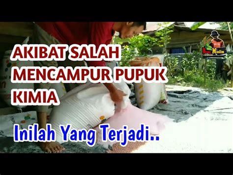 Cara Mencampur Pupuk Kimia Yang Tepat Sinautani