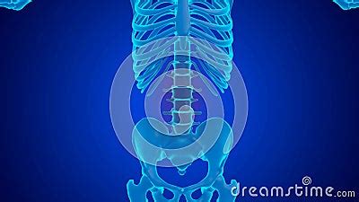 Blue Hologram Lumbar Spine Joint Pain Caused By Wear And Tear Of