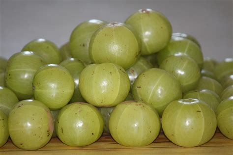 Indian Gooseberry The Ultimate Superfood Recette Magazine