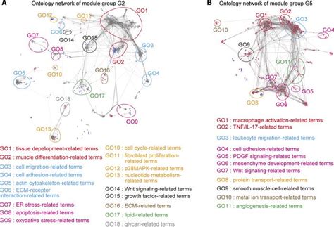 Jci Insight Transcriptome Network Analysis Identifies Protective Role