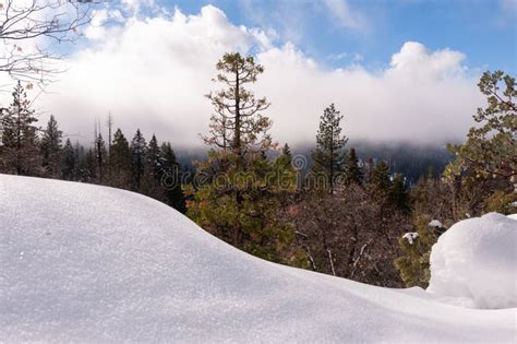 Hiking Trail To Mariposa Stock Photo Image Of Blue 278264034