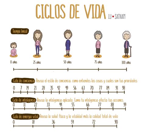 Ciclo De Vida De Humanos