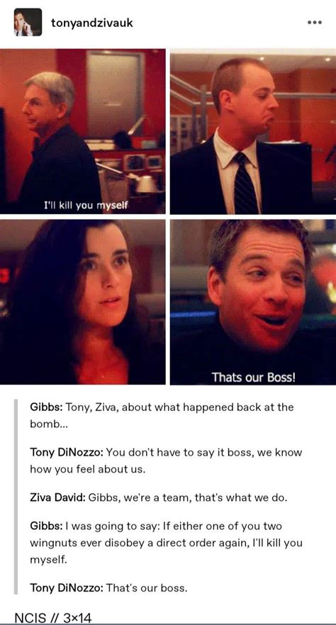 Pin By Karen Carson On Gibbs In 2024 Ncis Funny Ncis Ziva And Tony