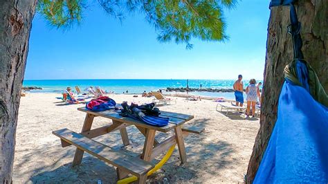 Best Key West Beaches Seeking Saturdays