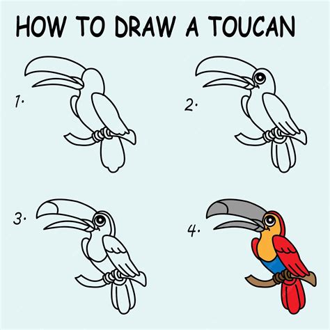 Premium Vector How To Draw Toucan Bird Cartoon