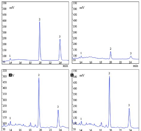 Hplc Chromatograms Of Standard And Three Extracts Hplc Chromatograms