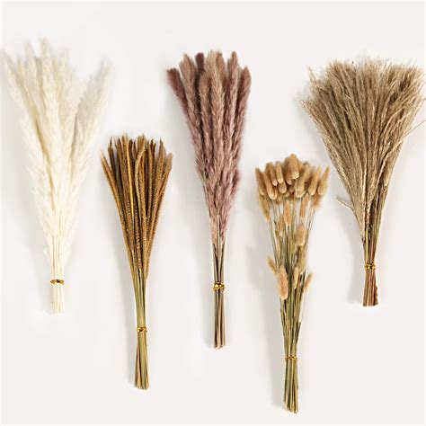 Amazon 65PCS Pampas Grass Decor Including Pompas Floral Reed