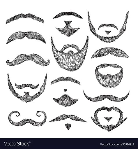 Sketch mustache drawing facial hair isolated Vector Image