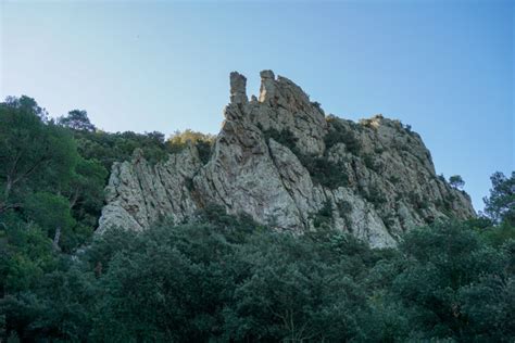 Ruta Al Bosc De Les Bruixes De L Argentera Camino Con Santiago