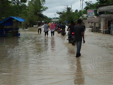 Petani Sawit Keluhkan Mahalnya Harga Pupuk Non Subsidi