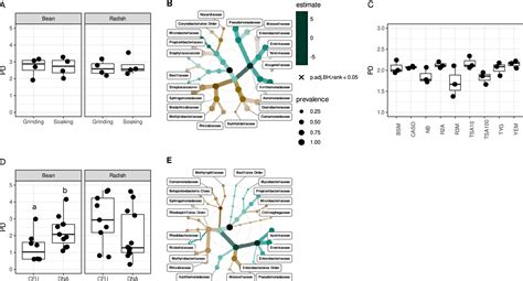 Single Seed Microbiota Assembly And Transmission From Parent Plant To