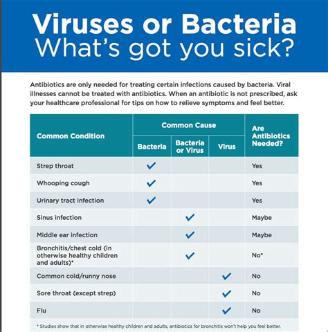 Colds Virus Or Bacteria - all about bacteria images