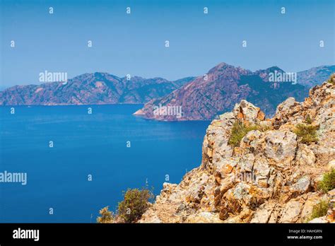 Coastal Landscape Of Corsica Island With Rocks And Sea Gulf Of Porto