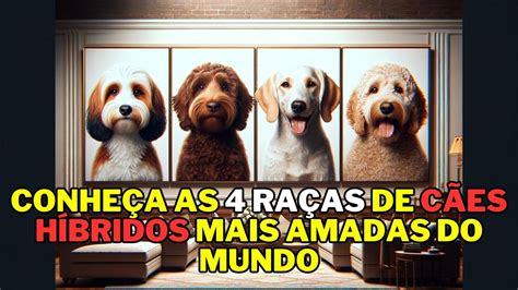 Conheça as 4 Raças de Cães Híbridos Mais Amadas do Mundo