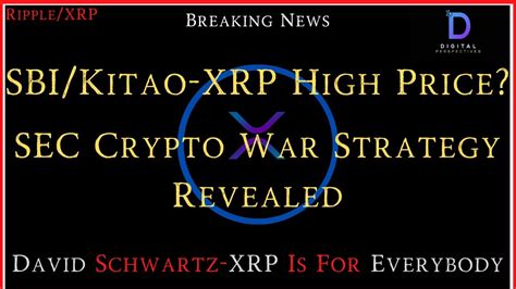 Ripple Xrp David Schwartz Xrp For Everybody Sec Crypto Strategy