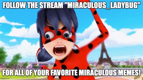 500 Funny Miraculous Meme Ideas Miraculous Miraculous Ladybug Memes Images And Photos Finder