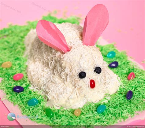 Top Easter Bunny Cake Recipe Easy Recipes To Make At Home