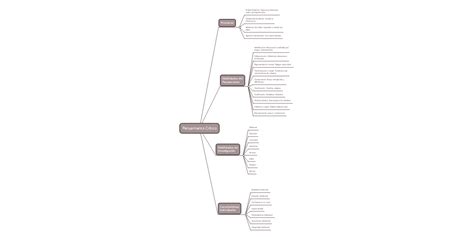 Pensamiento Crítico Mindmeister Mapa Mental