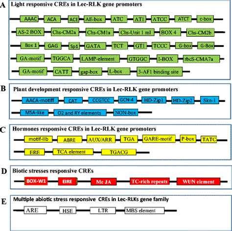 Various Stress Responsive Cis Acting Regulatory Elements Cres Element