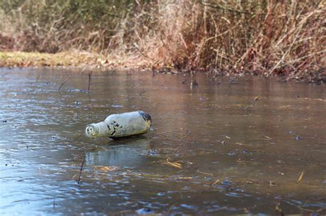 Rzeka Bia A W Bielsku Podlaskim Walczy Z Zanieczyszczeniami Wio Czeka