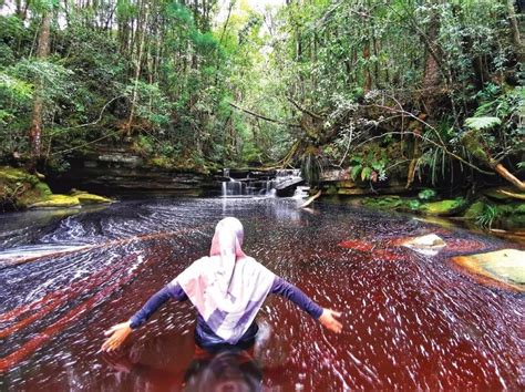 20 Tempat Menarik Di Tawau Sabah Yang Anda Wajib Kunjungi 2025