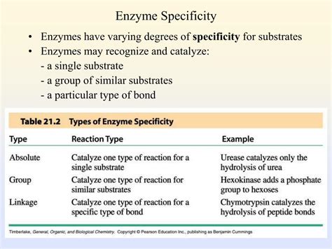 Ppt Enzymes As Biological Catalysts Powerpoint Presentation Free Download Id 2683753