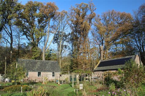 Rust Voor De Tuin Moestuin Leyduin