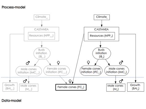 Graphical Representation Of The Hierarchical Bayesian Model Used With