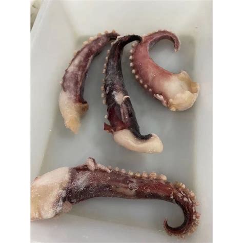 A Grade Quality Hot Selling Frozen Giant Squid Tentacles Nw G