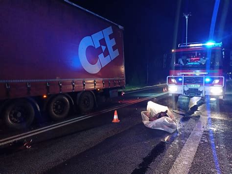 Zderzenie zestawu pojazdów z dzikim zwierzęciem w Nowej Wsi