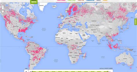 Internet Será Una Nueva Arma Para Vigilar La Deforestación Infobae