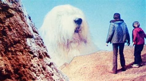Digby The Biggest Dog In The World 1973 — The Movie Database Tmdb