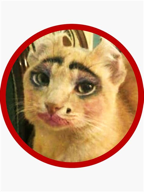 "Gorgeous Meme Cat / Beautiful Cat / Make-up Cat / The Most Beautiful Cat in The World" Sticker ...