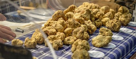 Fiera Internazionale Del Tartufo Bianco D Alba Scopri Tutti Gli Eventi