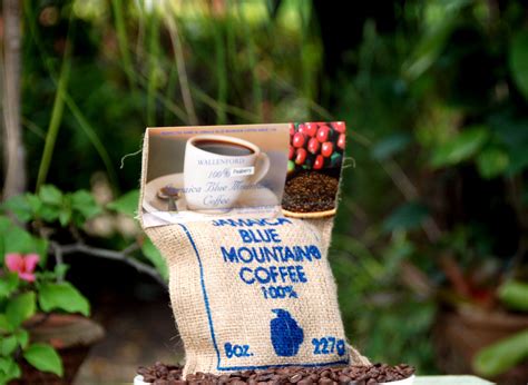 Wallenford Blue Mountain Coffee (16oz) – Coffees Of Jamaica