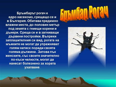 Хранителни вериги - YouTube