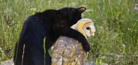 Meet Some Unlikely Animal Friends - PetsBlogs