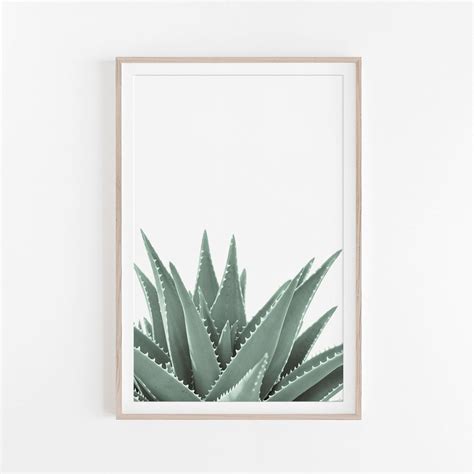 Succulent Prints Succulent Art Prints Succulent Wall Art Etsy