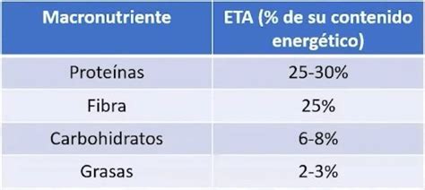 Qué es el Efecto Térmico de los Alimentos