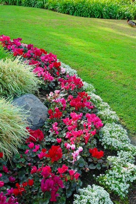 Flower Bed Border Ideas Outdoor Gardens Beautiful Gardens Backyard