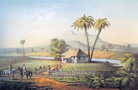 Cuba Ca 1850 Graphic Arts