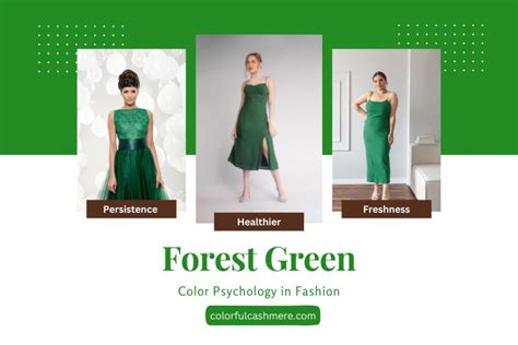 Color Psychology In Fashion How Forest Green Boosts Calmness