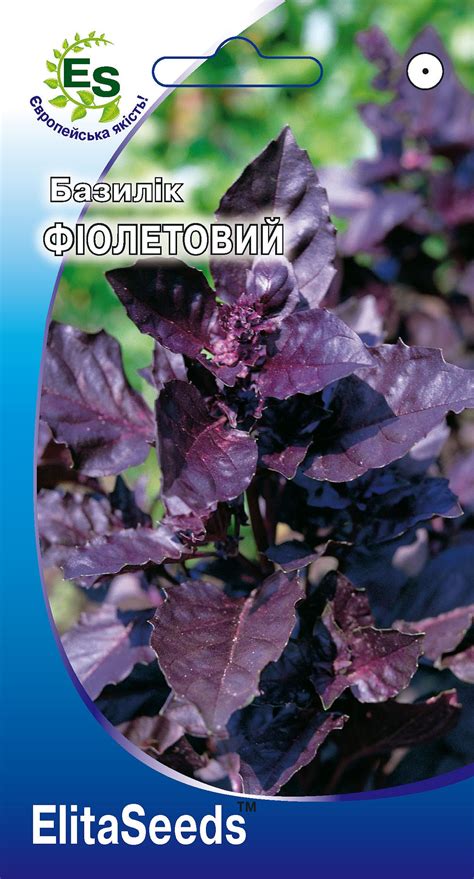 Базилік фіолетовий (0,2г.) | Elita Seeds - насiння гібридів та ...