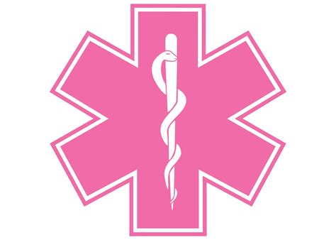 428 Star Of Life Pink Ems Emt Vinyl Decal W Uv Etsy Uk