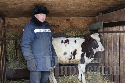 Наш Черемшан | Татарстан - берегите себя | ВКонтакте