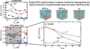 Cationpolymer Interactions And Local Heterogeneity Determine The