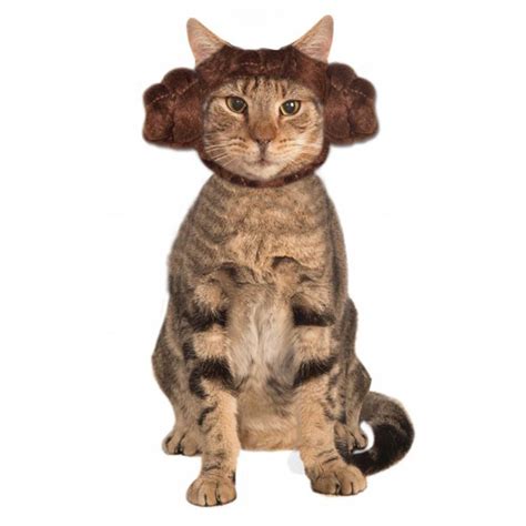 Star Wars Princess Leia Hood Cat Costume At Baxterboo