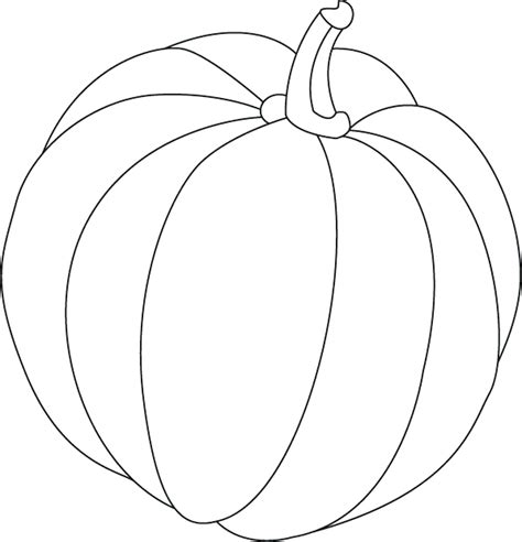 Butternut Squash Coloring Sketch Coloring Page